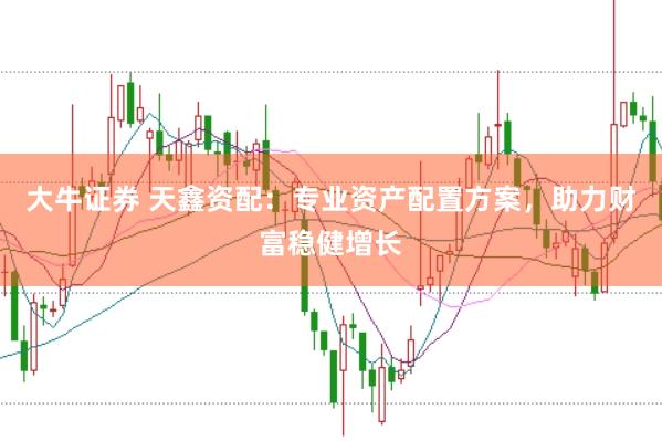 大牛证券 天鑫资配：专业资产配置方案，助力财富稳健增长