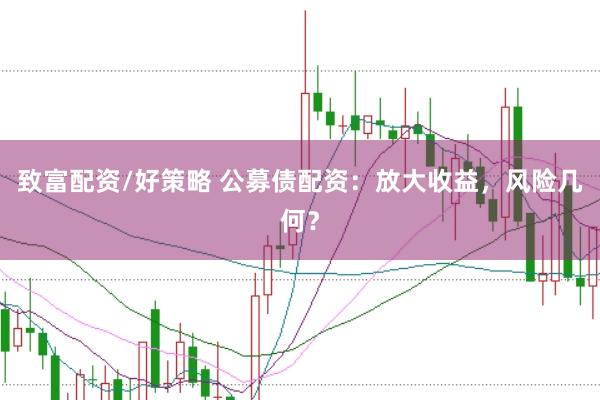致富配资/好策略 公募债配资：放大收益，风险几何？