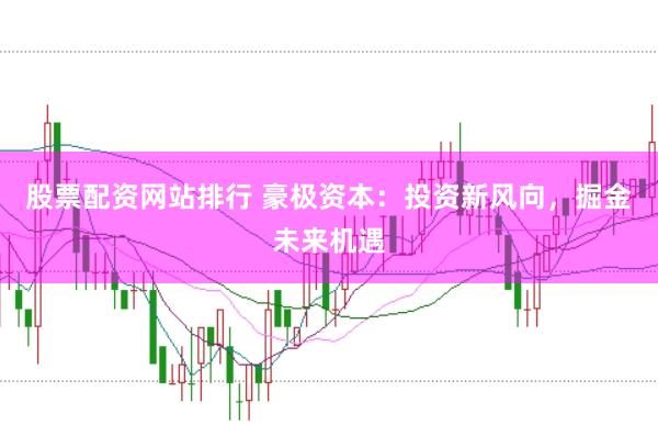 股票配资网站排行 豪极资本：投资新风向，掘金未来机遇