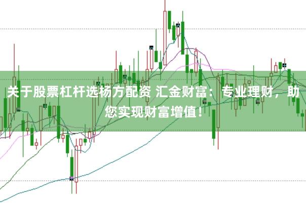 关于股票杠杆选杨方配资 汇金财富：专业理财，助您实现财富增值！